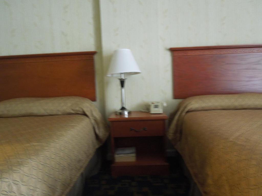 Seahawk Motel Virginia Beach Chambre photo